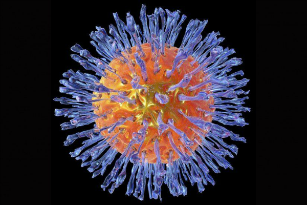 virut Herpes là gì